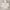 2000s Vtg Russell Athletic White Blank Boxy Hoodie photo 1