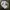 Vintage Y2K Hoody Pria white photo 3