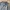 Vintage flight jacket Classic Hunter photo 2