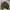 ELEMENTE SUEDE FILGHT JAKET  photo 6