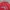 Sportswear T-shirt Pria red photo 2
