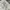 LAGENI FUSHI FLOWER LACE OFF SHOULDER PEPLUM FAIRY DRESS photo 6