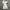 LAGENI FUSHI FLOWER LACE OFF SHOULDER PEPLUM FAIRY DRESS photo 5