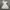 LAGENI FUSHI FLOWER LACE OFF SHOULDER PEPLUM FAIRY DRESS photo 1