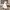 LAGENI FUSHI FLOWER LACE OFF SHOULDER PEPLUM FAIRY DRESS photo 2