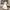 LAGENI FUSHI FLOWER LACE OFF SHOULDER PEPLUM FAIRY DRESS