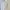 Coquette Midi dress Wanita white photo 2