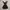 TRIXXI Y2K LACE OVERLAY BABYDOLL DRESS PUNK WHIMSIGOTH photo 1
