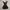 TRIXXI Y2K LACE OVERLAY BABYDOLL DRESS PUNK WHIMSIGOTH