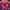 Jersey Bayern Munchen