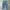 Dickies Carpenter Blue Denim Pants