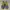 New Balance Vazee Rush photo 2