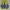 New Balance Vazee Rush photo 4