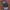 00s Champion Eco green hunter sweatshirt  photo 7