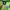JERSEY BOLA JEONBUK HYUNDAI MOTORS ORIGINAL 100% photo 3