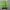 JERSEY BOLA JEONBUK HYUNDAI MOTORS ORIGINAL 100% photo 1