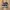 Vans Authentic Black photo 1
