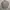 Burberry’s Nova Blue Label Luxury Plaid Shirt photo 2