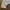 Burberry Minimalist Casual Jeans Pria tan khaki photo 4