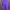 Sportswear Jersey Wanita Purple
