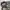 Salomon Gorpcore Sneakers Pria gray photo 3