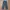 & Other Stories Vintage Casual Casual trouser Wanita navy photo 1