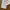 Le Coq Sportif Vintage Casual Formal pants Pria tan photo 4