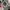 Vintage 1980's Ben Sheran 🇰🇷 Men Baret Hats photo 5