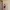 Motel rocks Jacquie Zephyr cargo mini skirt photo 3
