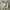 Casual Crop top Wanita white photo 2