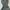 Vintage Indie Maxi dress Wanita green photo 5