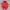 Fred Perry Casual Polo Shirt Pria Red