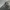 LONGCHAMP LE PLIAGE CLASSIC GREY photo 7