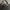 LONGCHAMP LE PLIAGE CLASSIC GREY photo 5