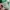 Kappa Vintage Casual T-shirt Pria green photo 4