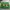 Kappa Vintage Casual T-shirt Pria green photo 2