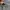 Fieldcore cargo pants grey photo 8