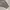 Hoodie giantes gray photo 5