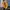 Uniqlo Minimalist Sweater Wanita yellow photo 2