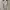 Karen Millen Luxury Evening dress Wanita tan photo 7