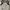 Karen Millen Luxury Evening dress Wanita tan photo 5