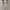 Karen Millen Luxury Evening dress Wanita tan photo 8
