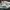 Ultimate 81 ex birch, size 40 photo 5
