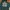 Superdry Streetwear Fleece Pria Green