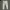 Uniqlo Regular Fit Selvedge White Denim photo 4