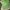Vintage Y2K Cami Top Wanita Green