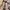 DIOR J’Adior Slingback Flat Nude Technical Fabric photo 3