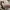 DIOR J’Adior Slingback Flat Nude Technical Fabric photo 5