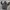 Sportswear Track jacket Pria black gray photo 6