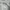Longpants jogger ADLV photo 5